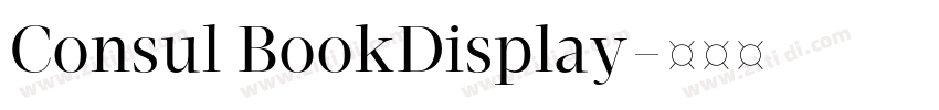 Consul BookDisplay字体转换